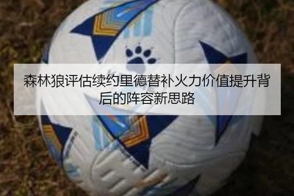 森林狼评估续约里德替补火力价值提升背后的阵容新思路